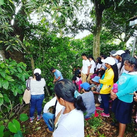 Green Releaf, Philippinen: Die Vorteile der Agroforstwirtschaft zeigen Foto © Gumay Tenda