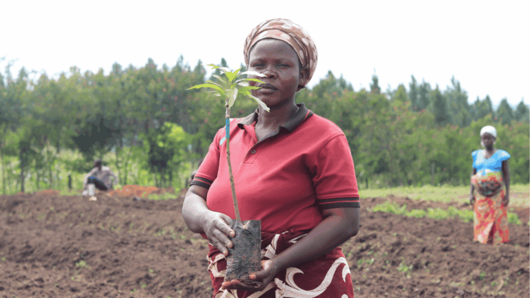 Geflüchtete Frau hält Setzling in die Kamera und lernt über resiliente Landwirtschaft und Regeneration