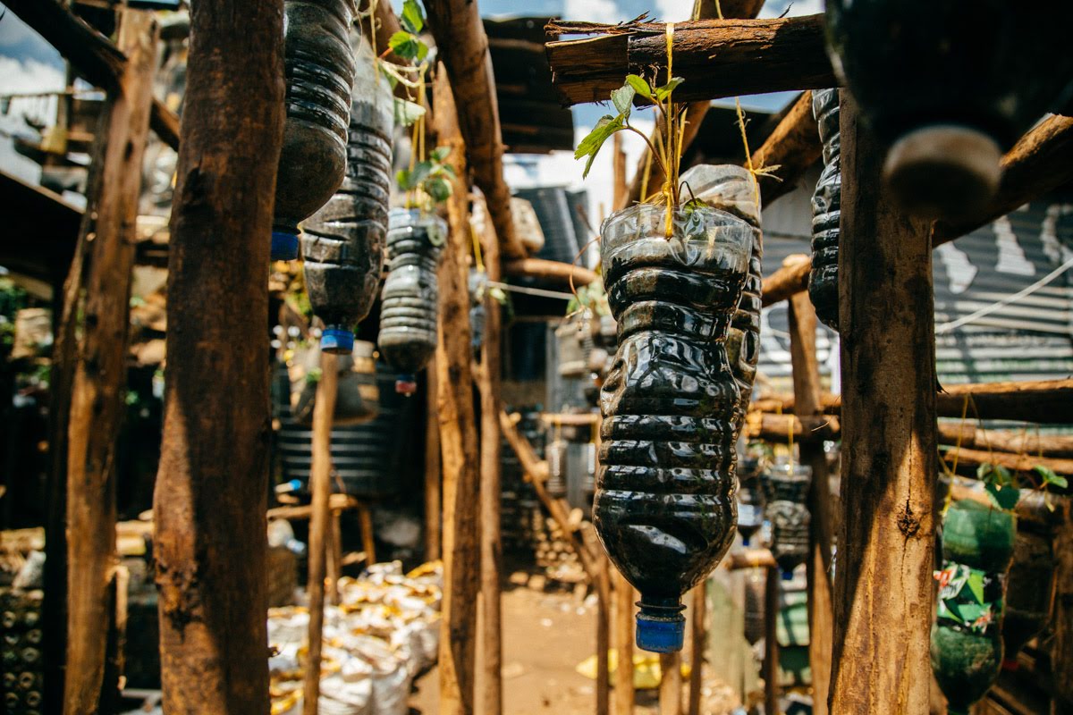 Mehr über den Artikel erfahren Regenerative Landwirtschaft in Norduganda: Wie lokale Akteure ein neues Lebensmittelsystem aufbauen