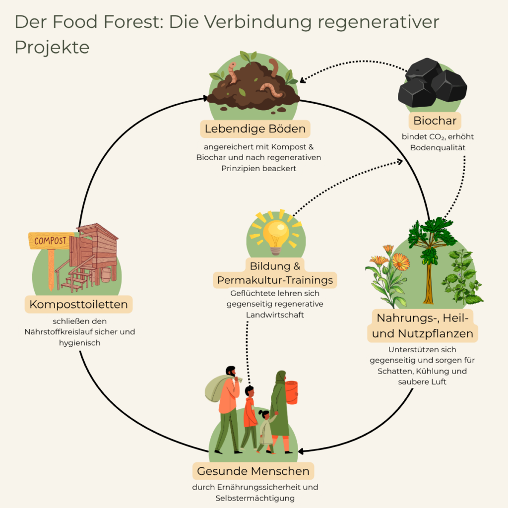 Ein regenerativer Kreislauf: Der Food Forest und andere Projekte zu regenerativer Landwirtschaft greifen ineinander.
