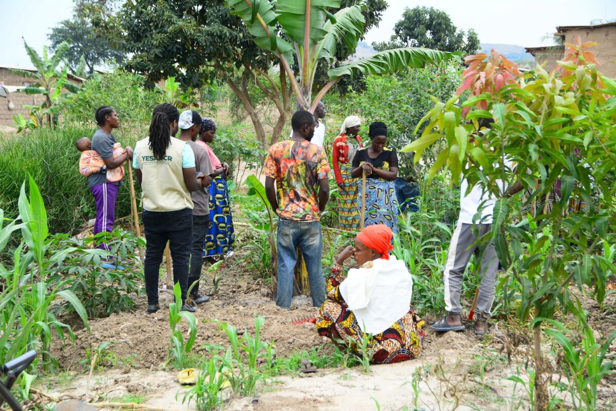 The Green Releaf Initiative