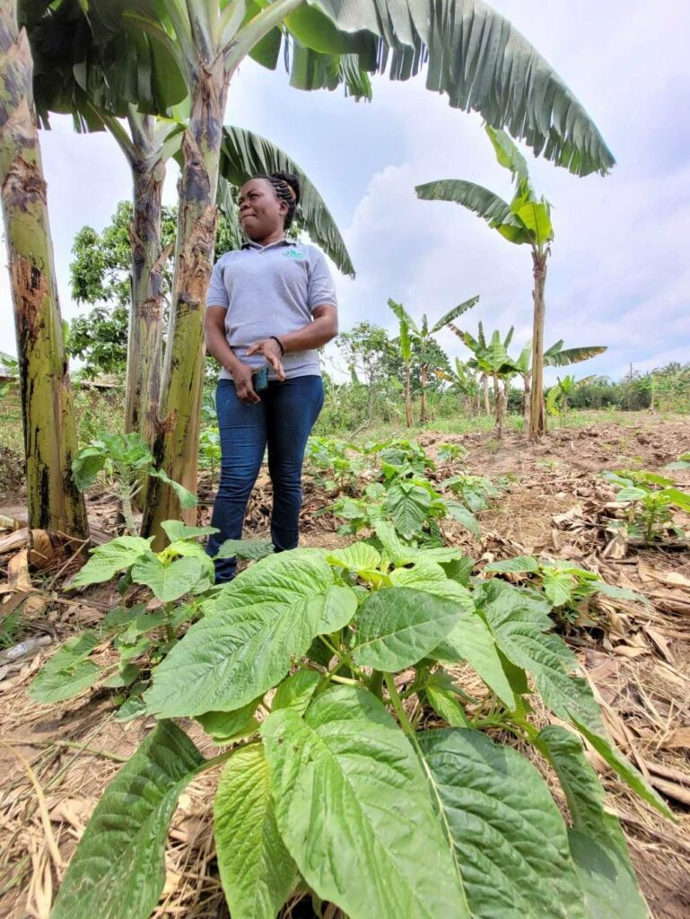 YICE team member in green permaculture garden in Uganda