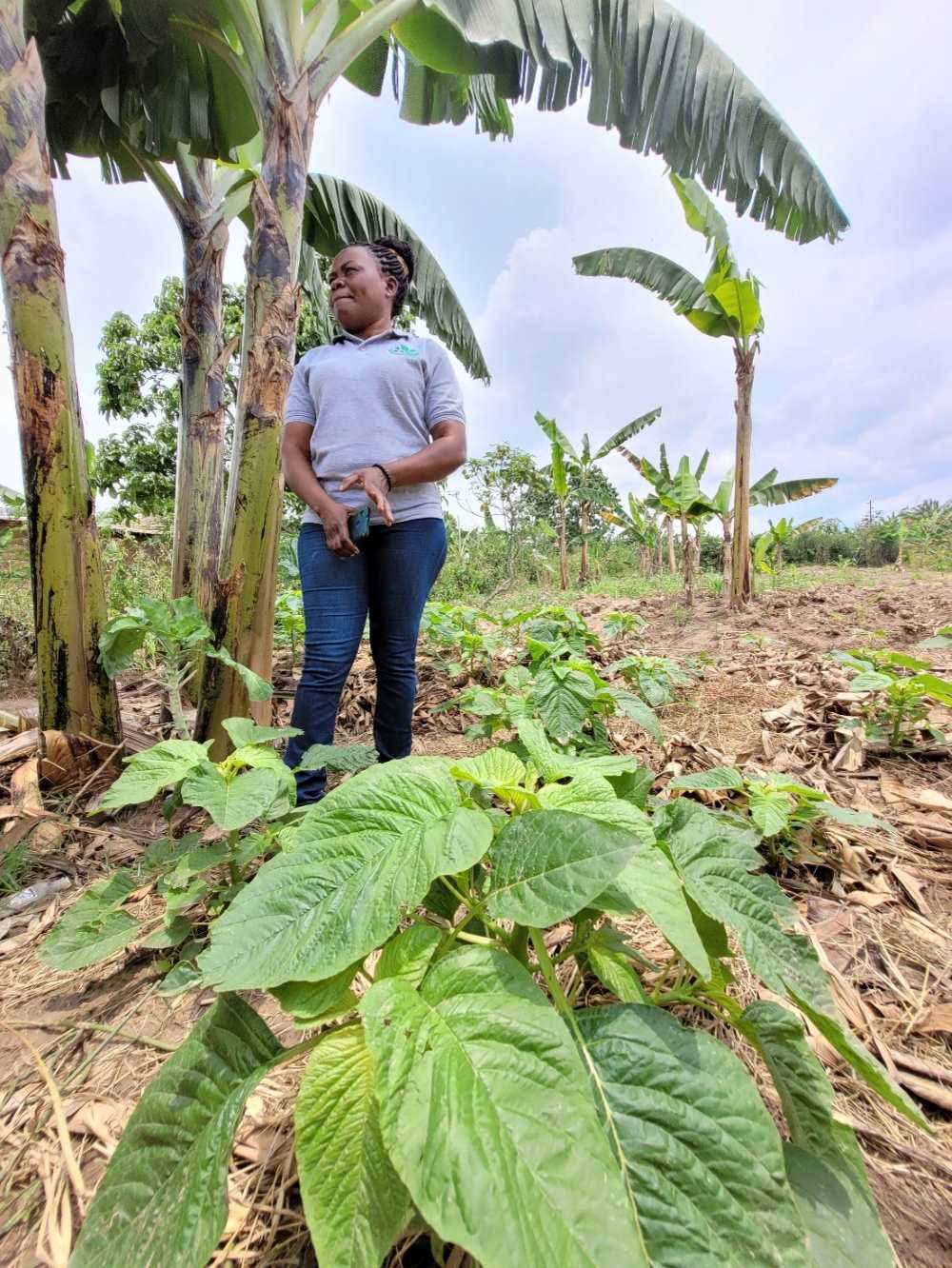 YICE team member in green permaculture garden in Uganda