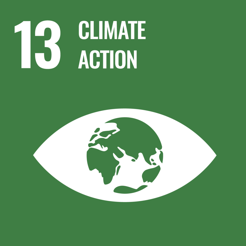 Logo SDG 13 Climate action: Eye with globe as iris; Sustainable Development Goals (SDGs)