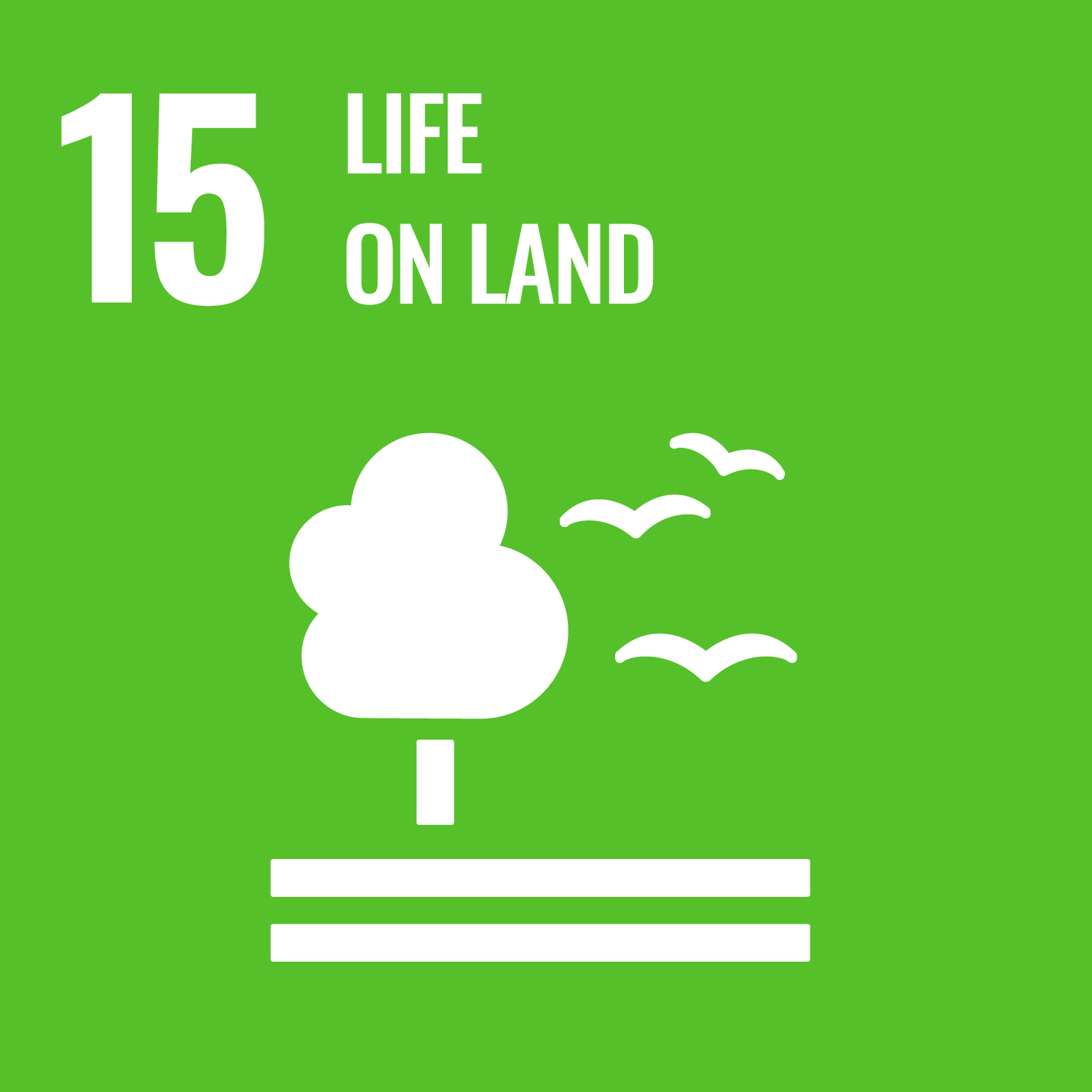 Logo SDG 15 Life on land: tree and birds; Sustainable Development Goals (SDGs)