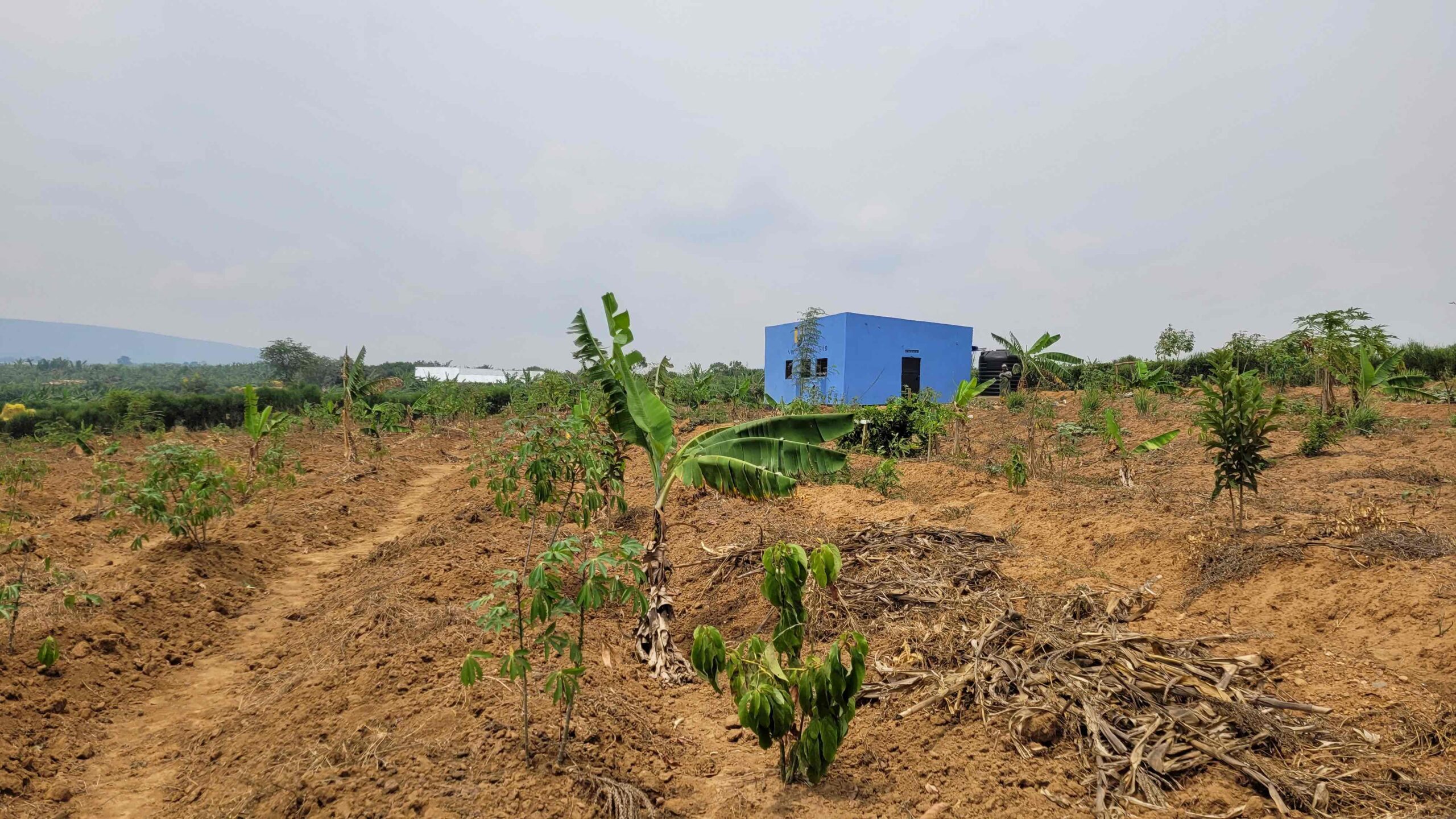 Read more about the article Unidos Social Innovation Centre