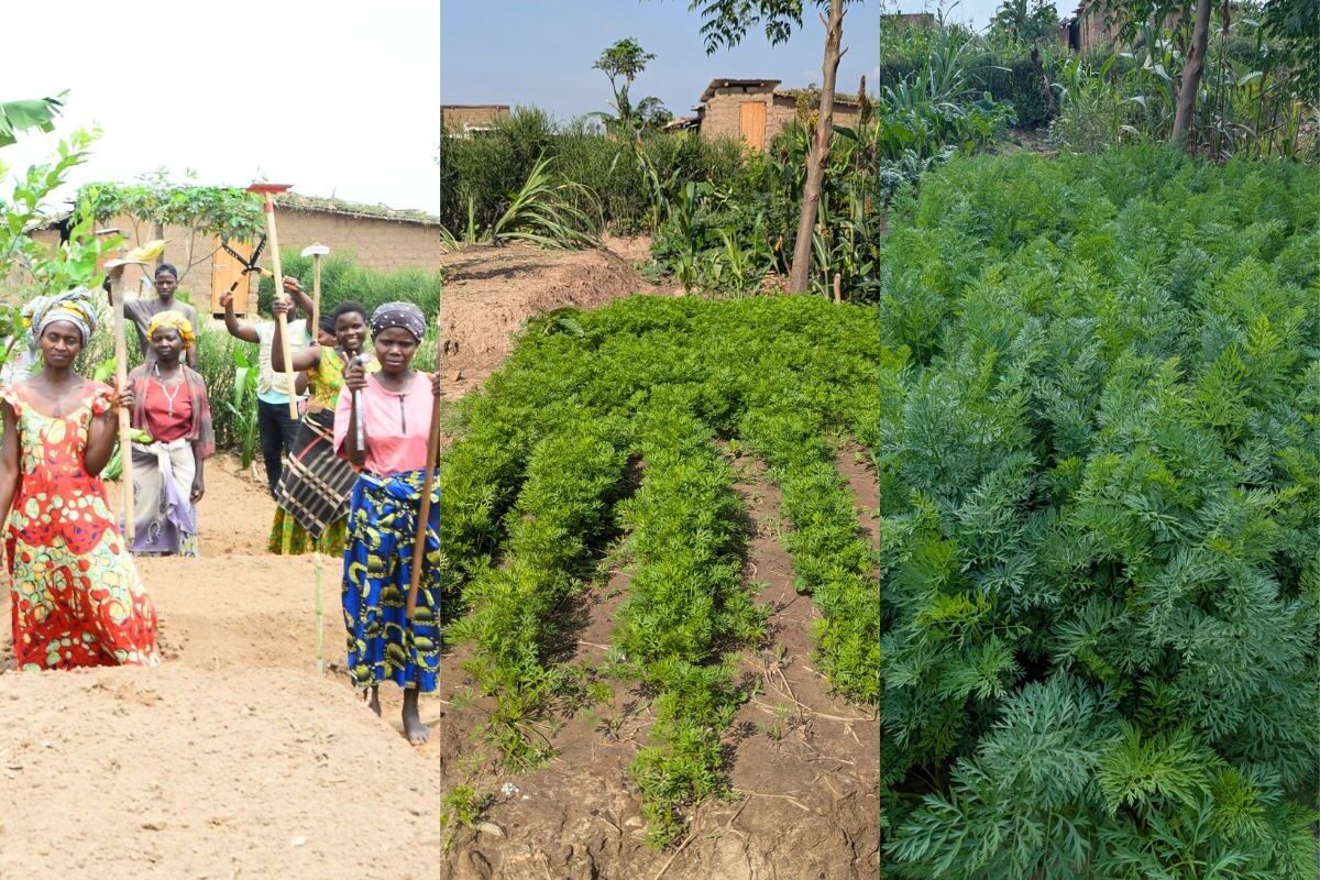 Poverty reduction & climate protection: Not a contradiction, but an inseparable unity