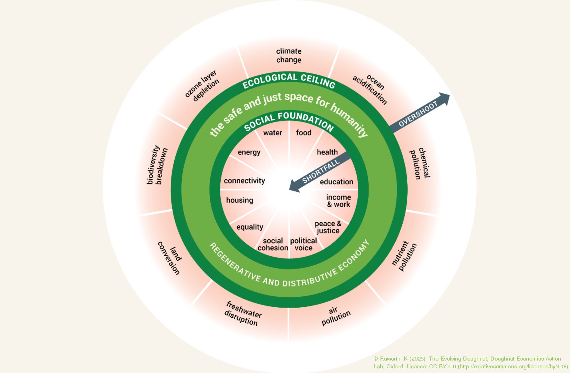 Doughnut Economics: A Framework for Just and Regenerative Economic Thinking​