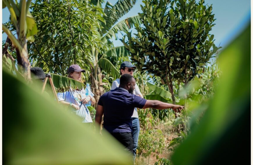 Food Forest Explanations