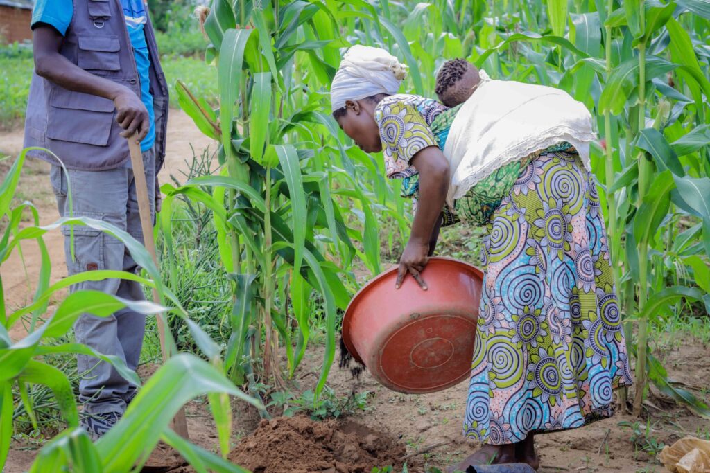 Refugee mother harvesting crops