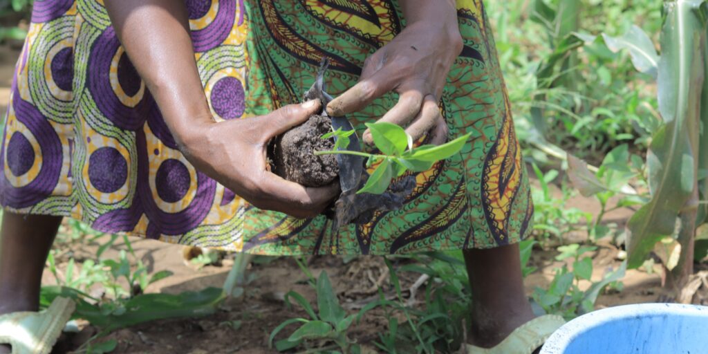 Planting trees in Ugandan Refugee Settlement