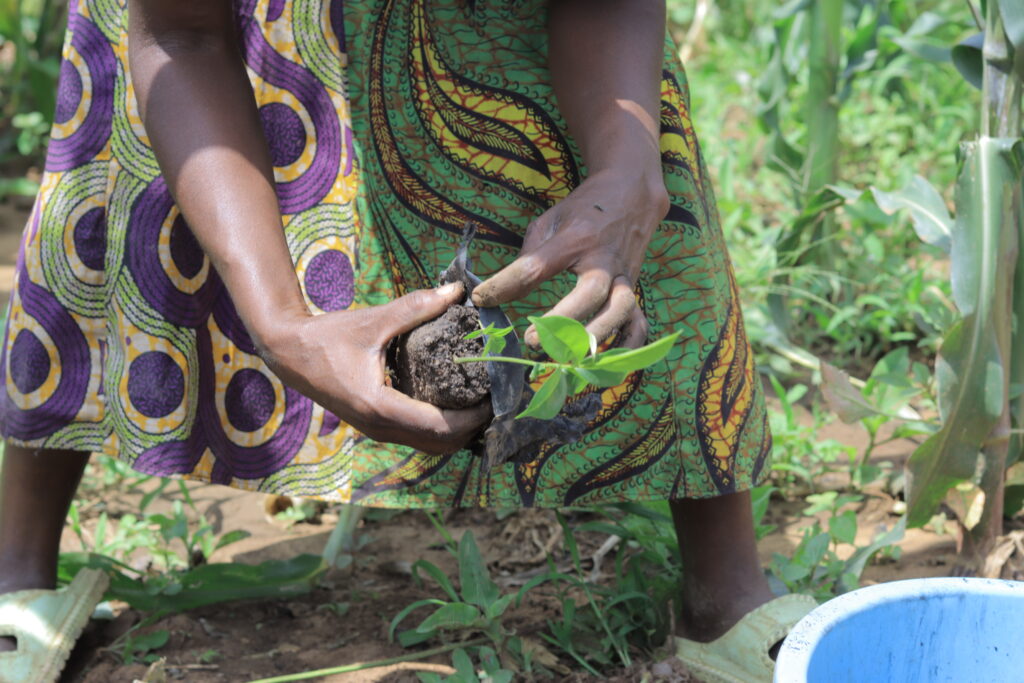 Planting trees in Ugandan Refugee Settlement