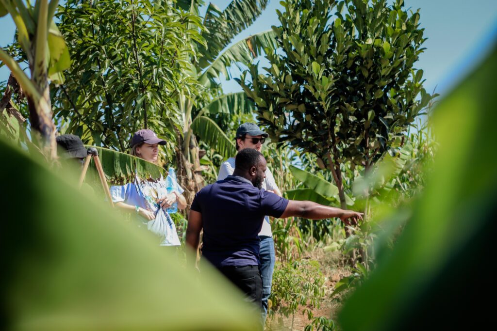UNIDOS and Generation Restoration are working on joint projects in the field