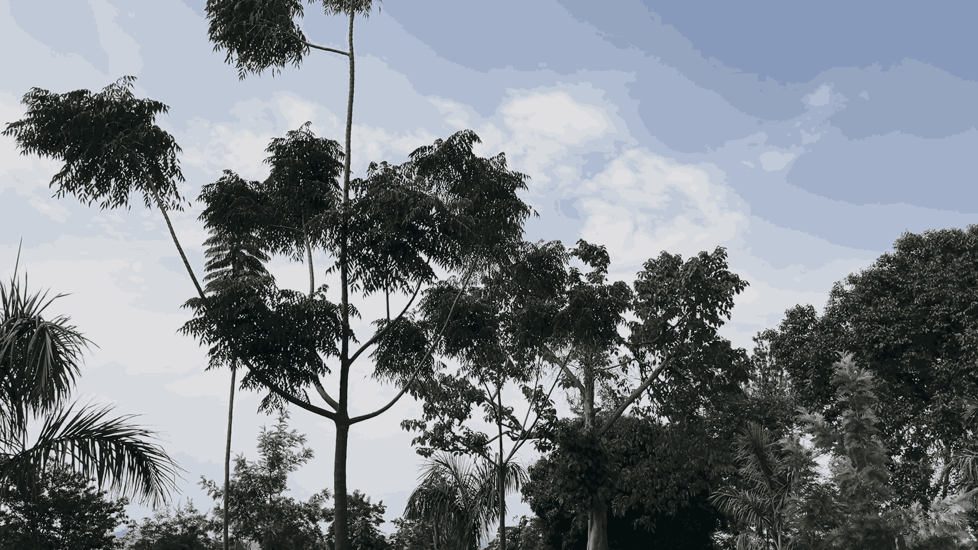 Read more about the article Seeds of Tomorrow:  The Untapped Power of Foresight in Refugee Camps and Regenerative Farming