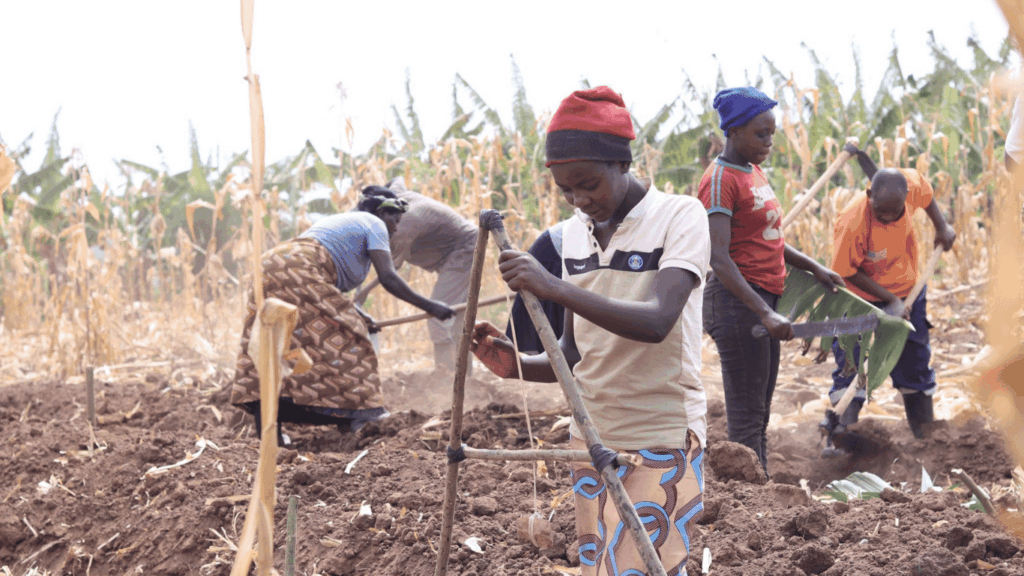 Young woman using an A-frame as a tool for permaculture and resilient agriculture during a training session.